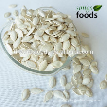 Chinese Yellow Pumpkin Seeds Price